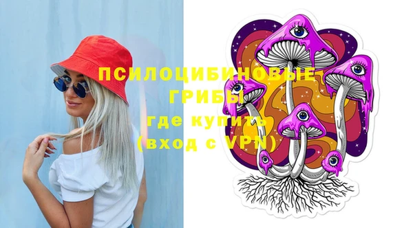 стаф Ладушкин